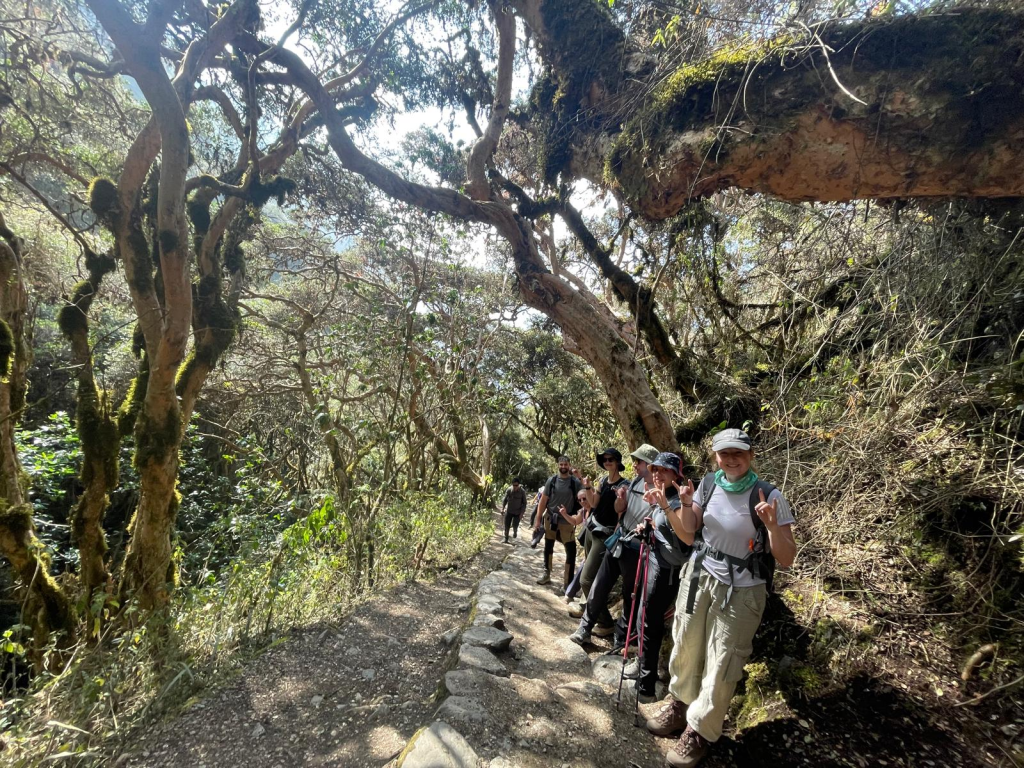 A group of hikers trekking along the famous Inca Trail to Machu Picchu