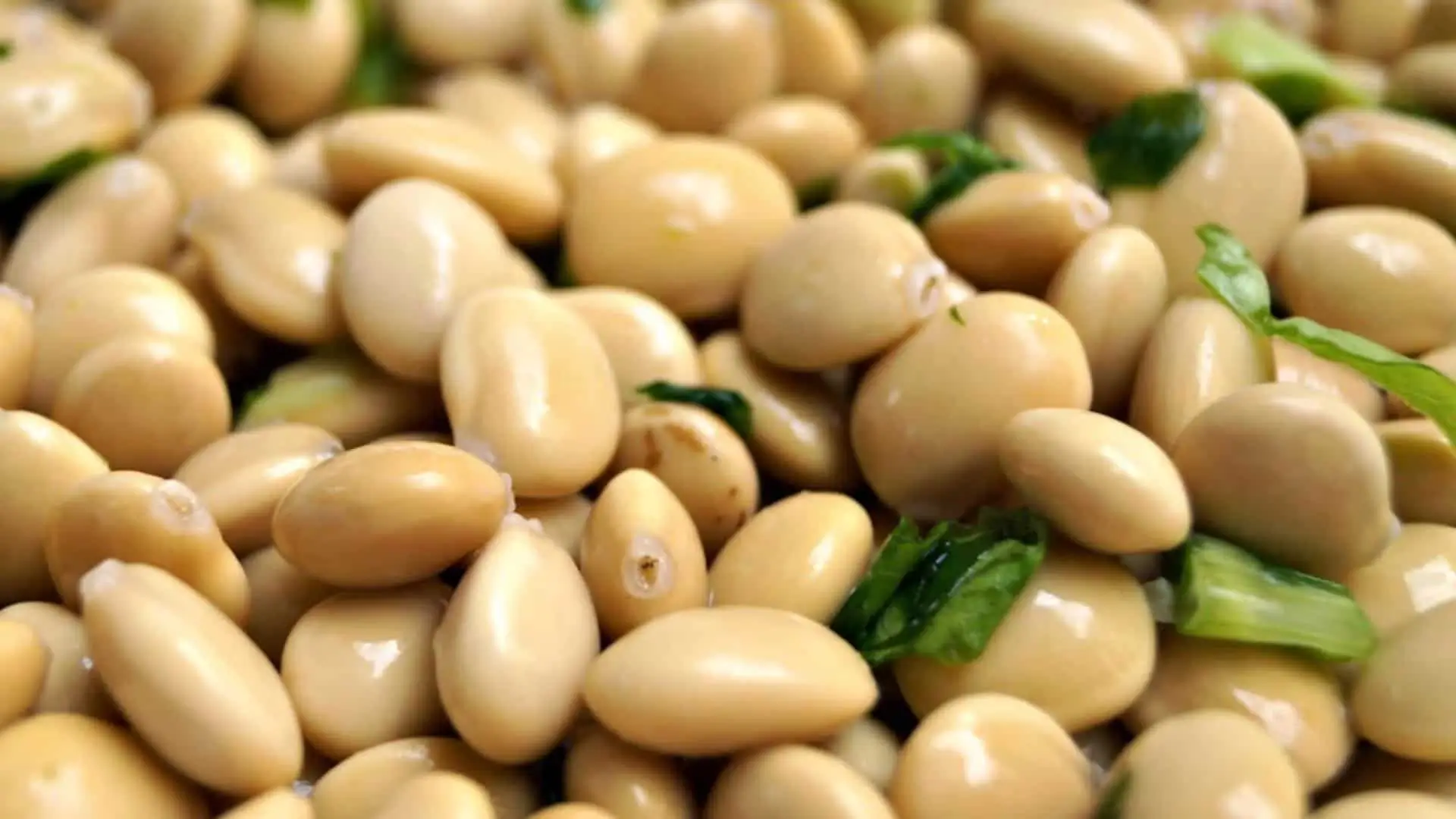 Peruvian Superfoods